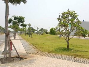 Alternative view of Bán gấp 3 nền đất 300m2 (18x25m)